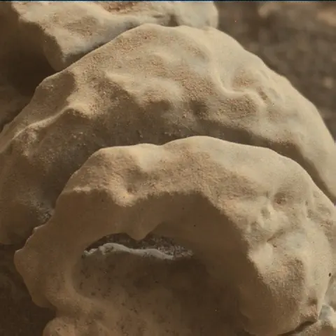 Sol 2666: Mars Hand Lens Imager (MAHLI)