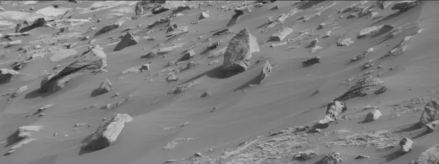 Sol 2679: Mast Camera (Mastcam)