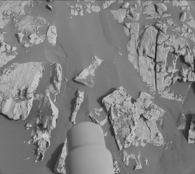 Sol 2691: Mast Camera (Mastcam)