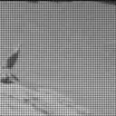 Sol 2692: Mast Camera (Mastcam)
