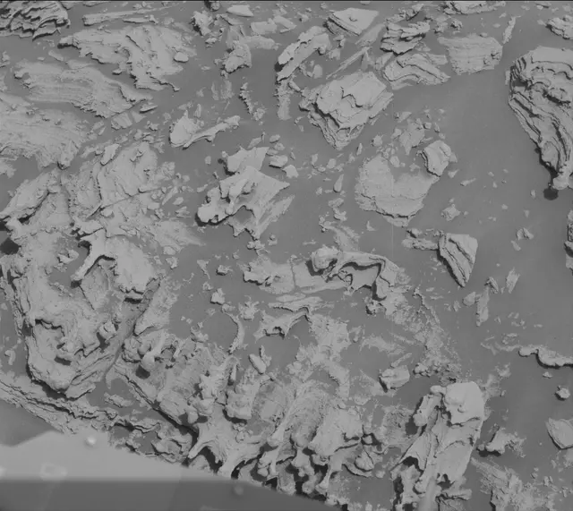 Sol 2693: Mast Camera (Mastcam)