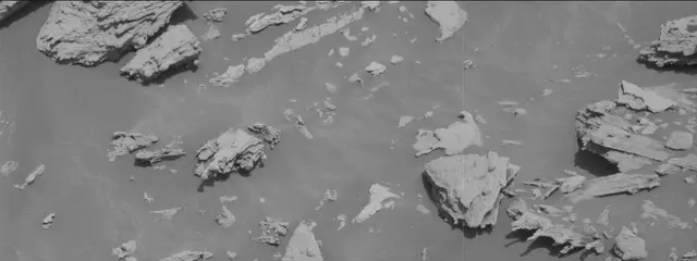 Sol 2695: Mast Camera (Mastcam)