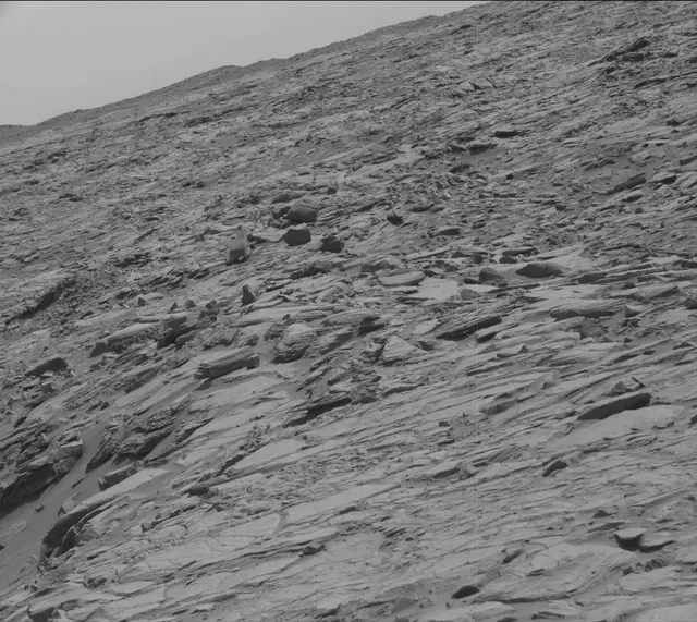 Sol 2698: Mast Camera (Mastcam)