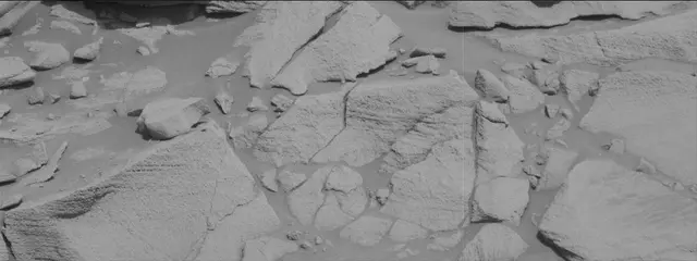 Sol 2699: Mast Camera (Mastcam)