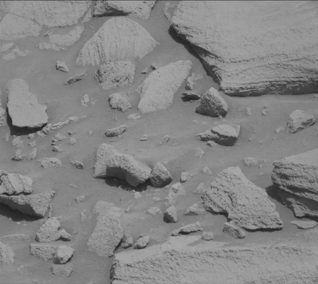 Sol 2699: Mast Camera (Mastcam)