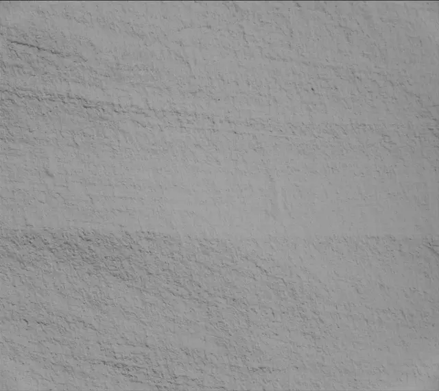 Sol 2699: Mast Camera (Mastcam)