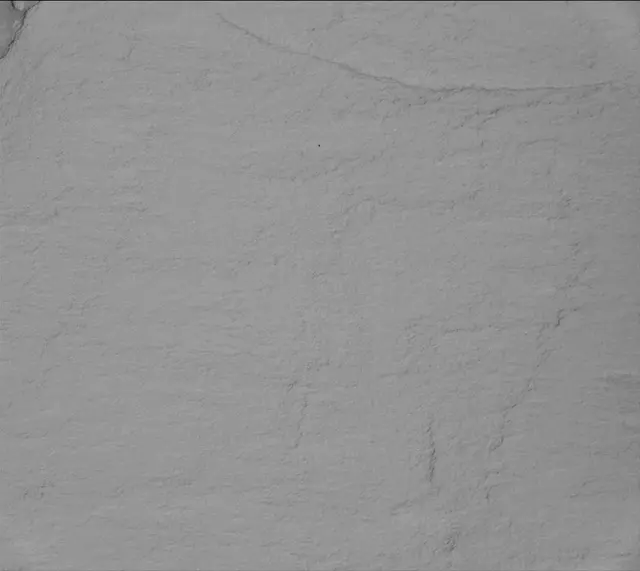 Sol 2702: Mast Camera (Mastcam)