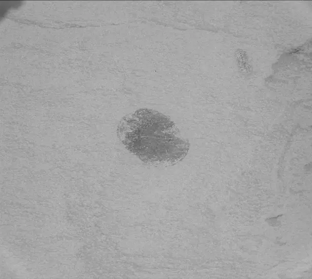 Sol 2705: Mast Camera (Mastcam)