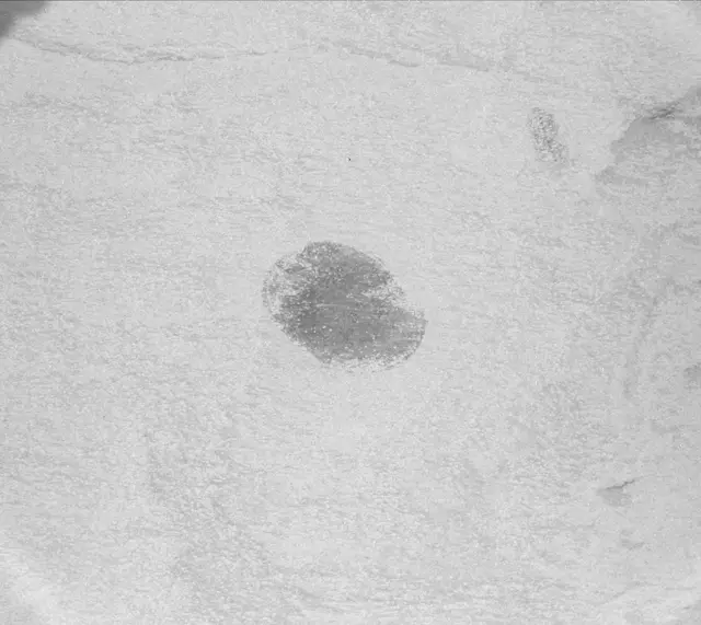 Sol 2705: Mast Camera (Mastcam)
