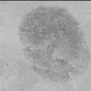 Sol 2710: Mast Camera (Mastcam)