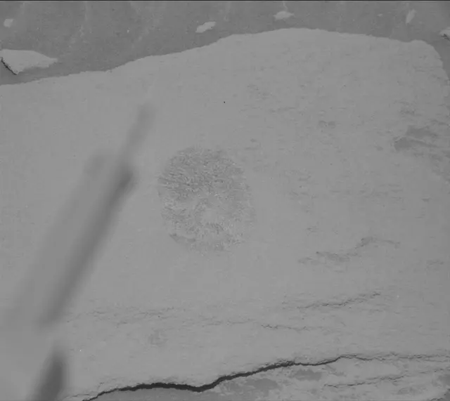 Sol 2710: Mast Camera (Mastcam)