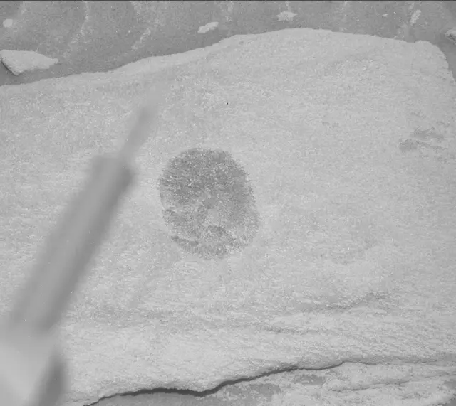 Sol 2710: Mast Camera (Mastcam)