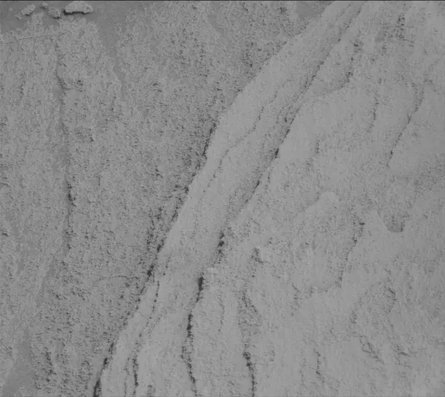 Sol 2719: Mast Camera (Mastcam)