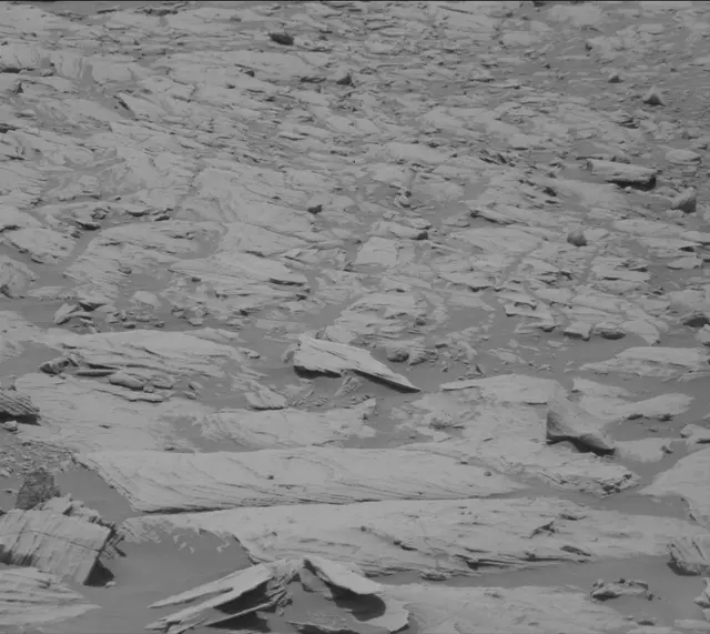 Sol 2731: Mast Camera (Mastcam)