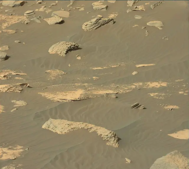 Sol 2736: Mast Camera (Mastcam)