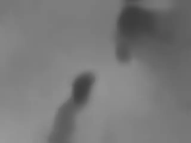Sol 2736: Mars Hand Lens Imager (MAHLI)