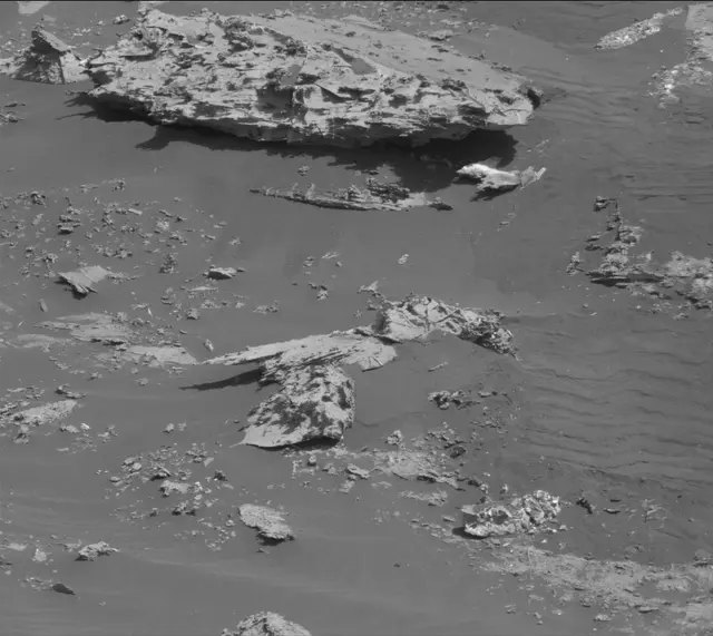 Sol 2737: Mast Camera (Mastcam)