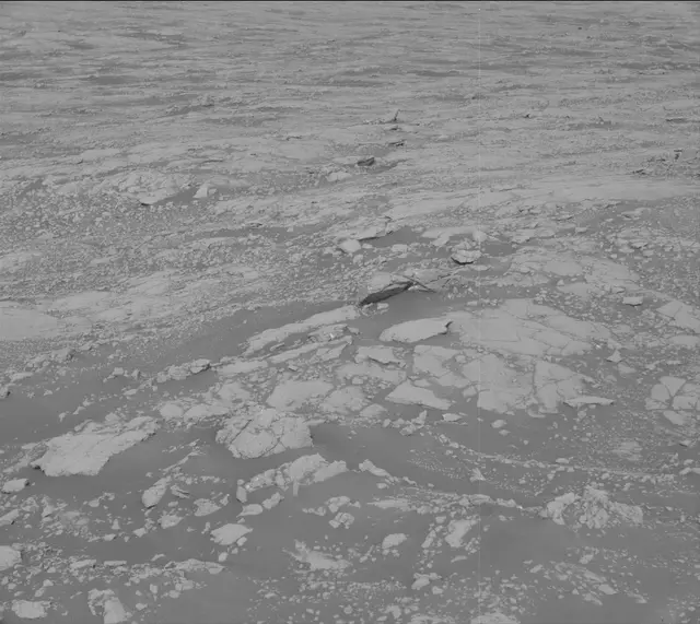 Sol 2745: Mast Camera (Mastcam)