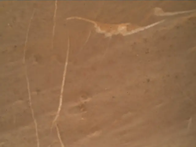 Sol 2745: Mars Hand Lens Imager (MAHLI)