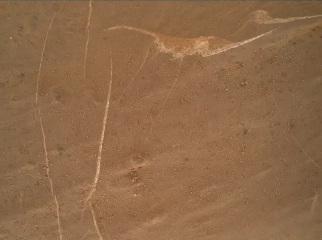 Sol 2745: Mars Hand Lens Imager (MAHLI)