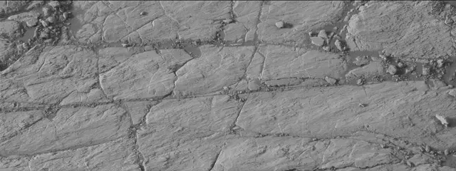 Sol 2747: Mast Camera (Mastcam)