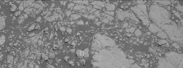Sol 2758: Mast Camera (Mastcam)