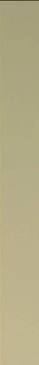 Sol 2781: Mast Camera (Mastcam)