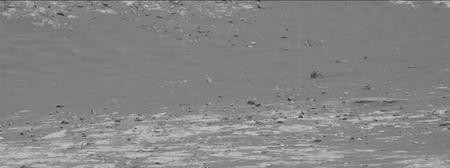 Sol 2788: Mast Camera (Mastcam)