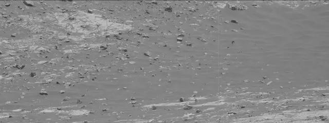 Sol 2788: Mast Camera (Mastcam)