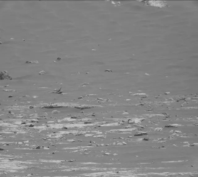 Sol 2788: Mast Camera (Mastcam)