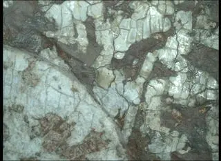Latest Perseverance image from Mars