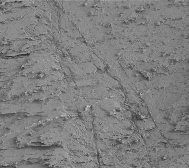 Sol 2799: Mast Camera (Mastcam)