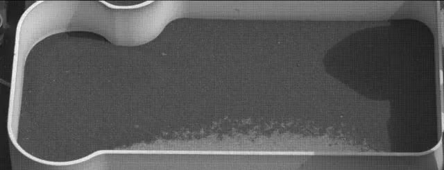 Sol 2821: Mast Camera (Mastcam)