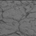Sol 2862: Mast Camera (Mastcam)