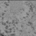 Sol 2907: Mast Camera (Mastcam)