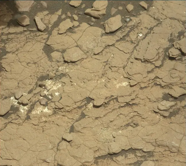 Sol 2920: Mast Camera (Mastcam)