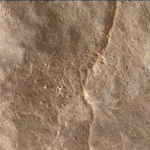 Sol 2955: Mars Hand Lens Imager (MAHLI)