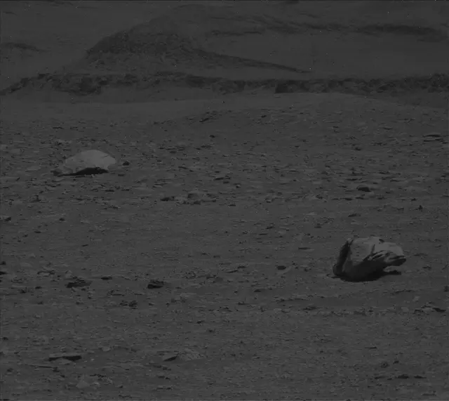 Sol 2961: Mast Camera (Mastcam)