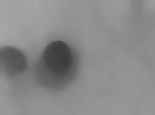 Sol 2974: Mars Hand Lens Imager (MAHLI)