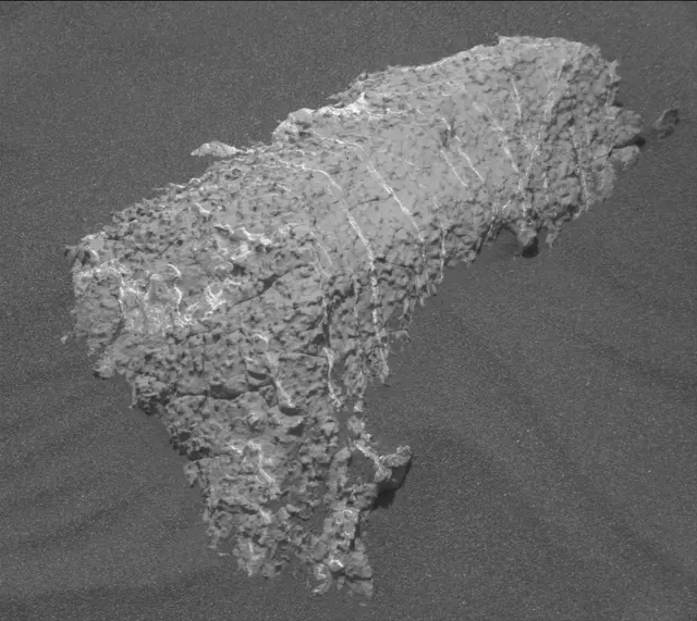 Sol 2989: Mast Camera (Mastcam)