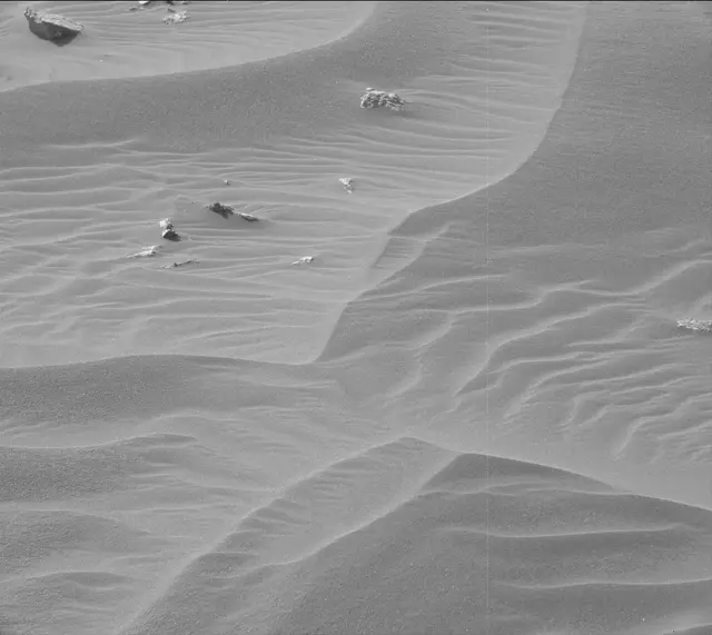 Sol 2991: Mast Camera (Mastcam)