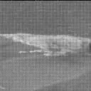 Sol 2994: Mast Camera (Mastcam)