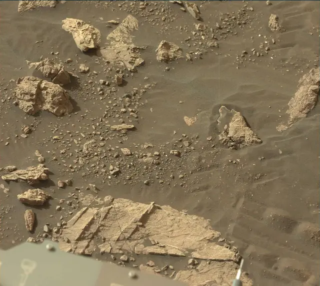 Sol 2995: Mast Camera (Mastcam)