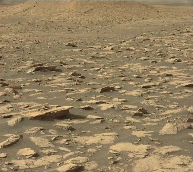Sol 2995: Mast Camera (Mastcam)