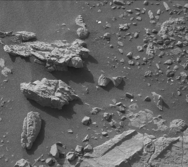 Sol 2995: Mast Camera (Mastcam)