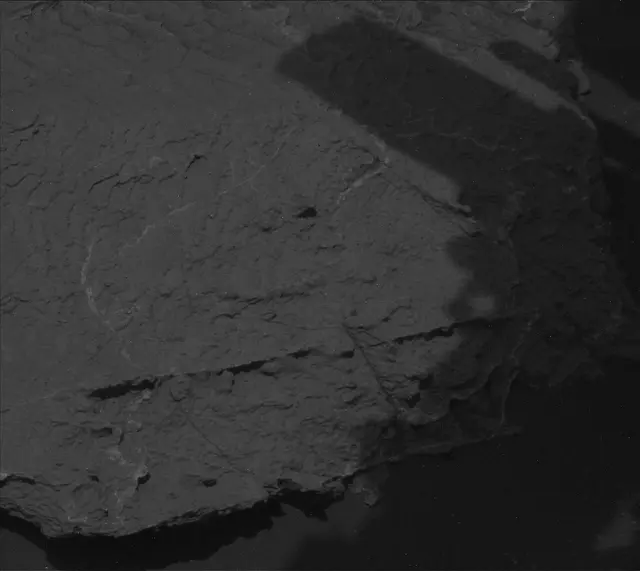 Sol 2997: Mast Camera (Mastcam)