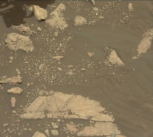 Sol 2998: Mast Camera (Mastcam)