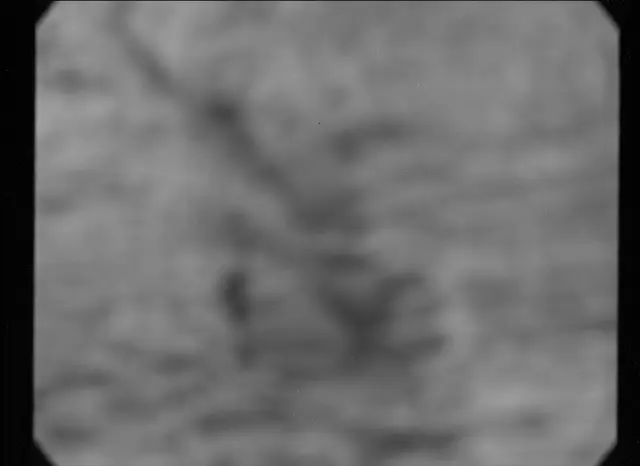Sol 3069: Mast Camera (Mastcam)