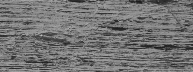 Sol 3074: Mast Camera (Mastcam)