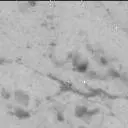 Sol 3076: Mast Camera (Mastcam)